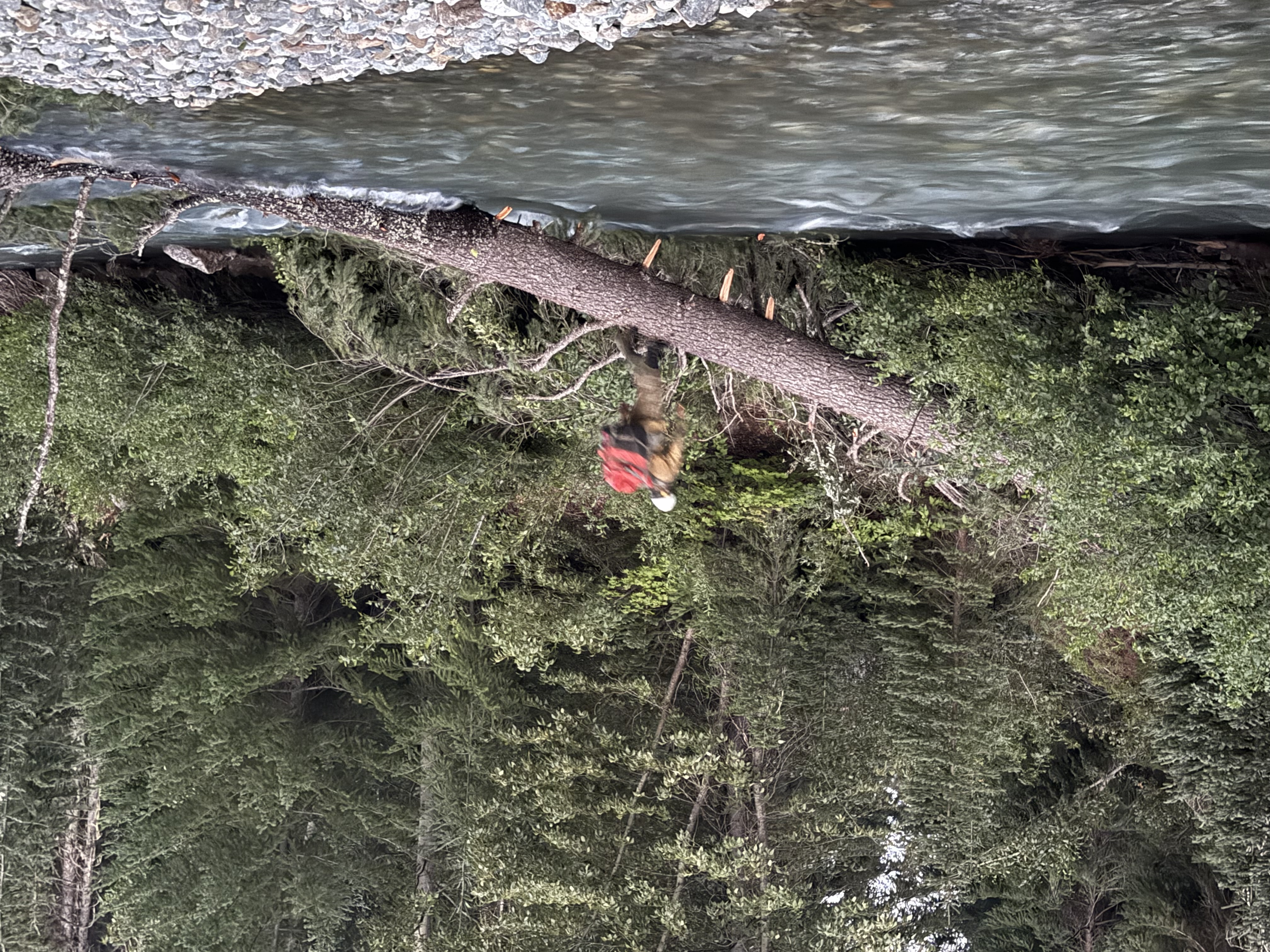 A heli-rappeller crosses a creek during a remote packout, carrying gear through rugged backcountry terrain after a wildland fire assignment.