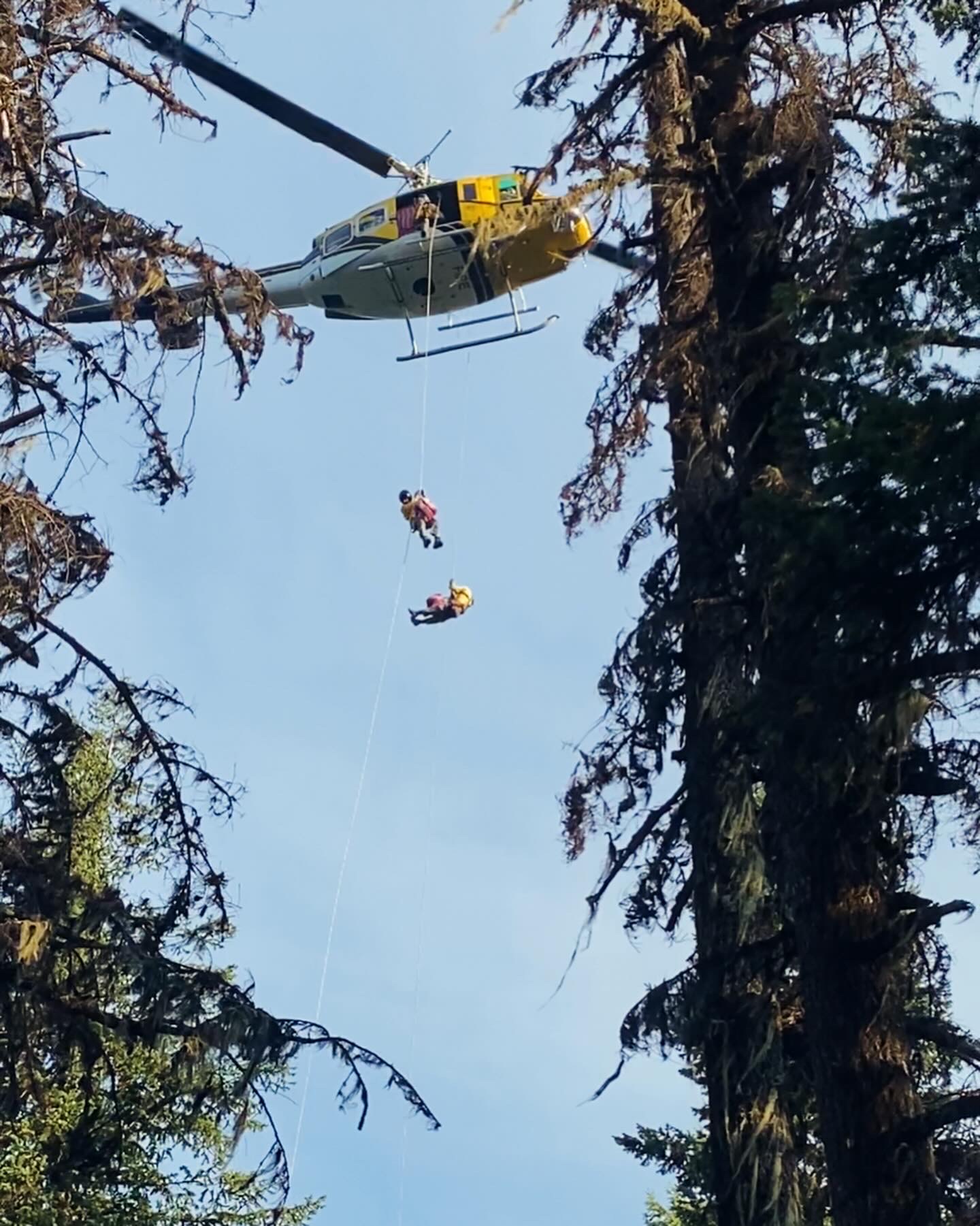 Heli-rappellers descend from a helicopter into remote timber during an operational wildland fire initial attack mission.